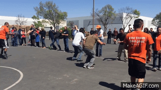 egg relay
